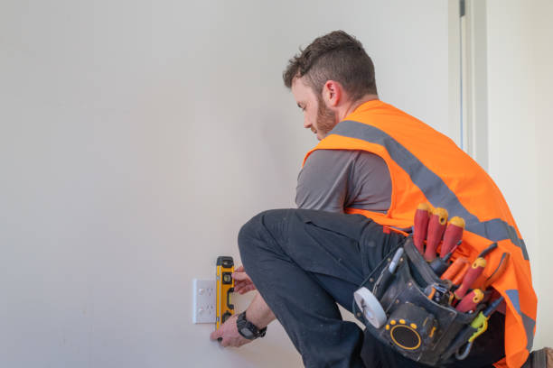 Best Electric Panel Repair  in Bolinas, CA